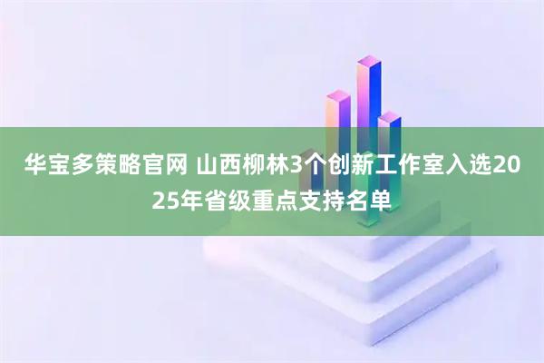 华宝多策略官网 山西柳林3个创新工作室入选2025年省级重点支持名单