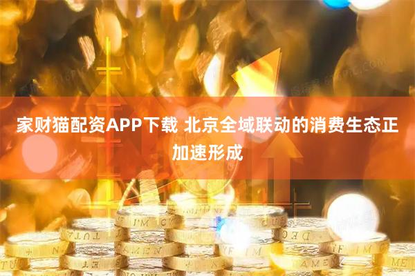 家财猫配资APP下载 北京全域联动的消费生态正加速形成