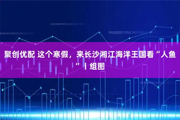 聚创优配 这个寒假，来长沙湘江海洋王国看“人鱼”丨组图